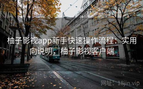 柚子影视app新手快速操作流程：实用向说明，柚子影视客户端