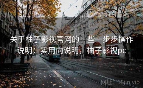 关于柚子影视官网的一些一步步操作说明：实用向说明，柚子影视pc