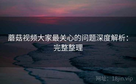 蘑菇视频大家最关心的问题深度解析：完整整理