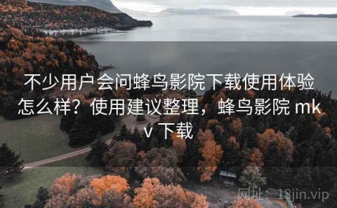 不少用户会问蜂鸟影院下载使用体验怎么样？使用建议整理，蜂鸟影院 mkv 下载