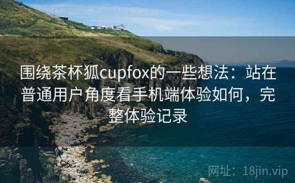 围绕茶杯狐cupfox的一些想法：站在普通用户角度看手机端体验如何，完整体验记录