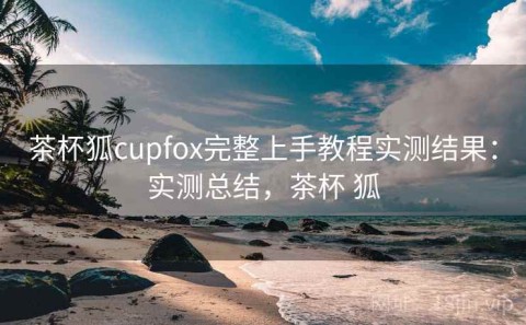 茶杯狐cupfox完整上手教程实测结果：实测总结，茶杯 狐