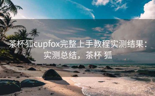 茶杯狐cupfox完整上手教程实测结果：实测总结，茶杯 狐