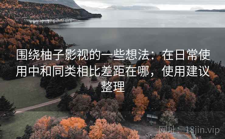 围绕柚子影视的一些想法：在日常使用中和同类相比差距在哪，使用建议整理