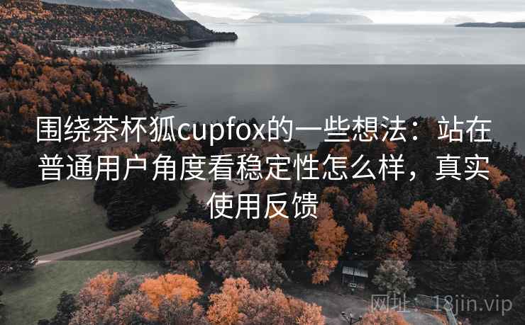 围绕茶杯狐cupfox的一些想法：站在普通用户角度看稳定性怎么样，真实使用反馈